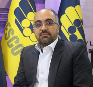 سید مسعود سیدنا